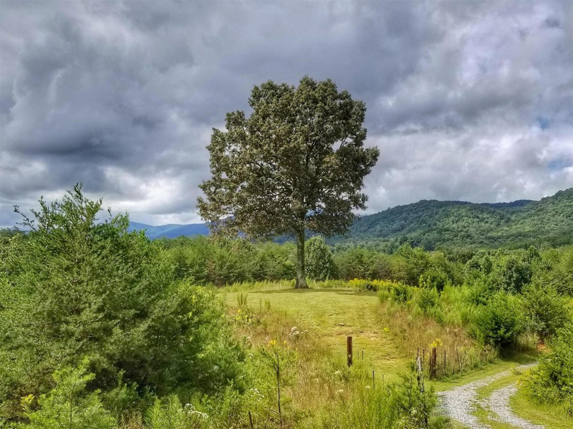 Eula Mae- Ocoee River Area Copperhill Zewnętrze zdjęcie